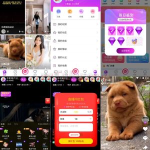 [亲测开源]2021最新直播短视频带货完美运营APP源码 购物直播交友系统源码