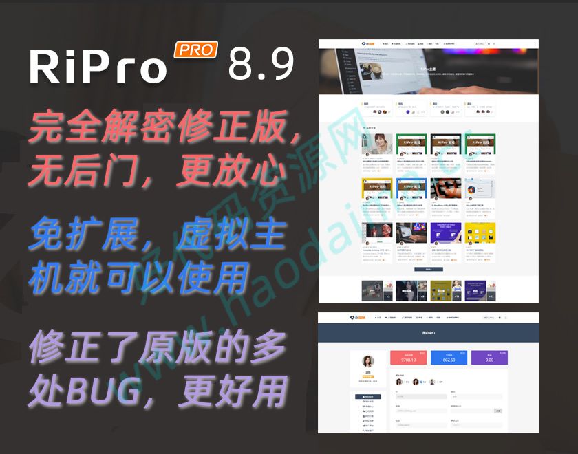 ripro8.9完全解密修正版修复在线充值会员不到账bug