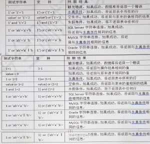 黑盒渗透测试指导之SQL注入