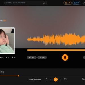 开心版阿宅轻量音乐网站程序源码 音乐网站免费听歌在线 音乐网站系统 音乐网站的设计与实现
