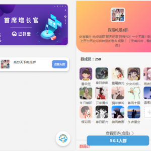 WordPress开发进群V2主题源码 付费进群系统多种引流方法 进群平台引私域二次变现