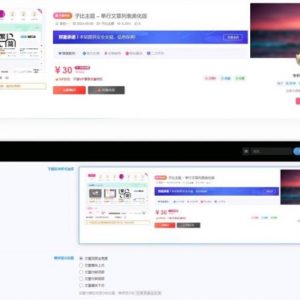 子比主题美化 付费区块下载 主题美化主题 美化插件（开源版）