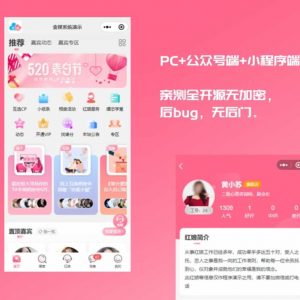 红娘金媒 2024版婚恋相亲系统源码 婚恋程序小程序
